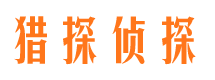 莱山市侦探公司